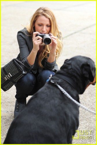 Blake Lively is the Dog Whisperer