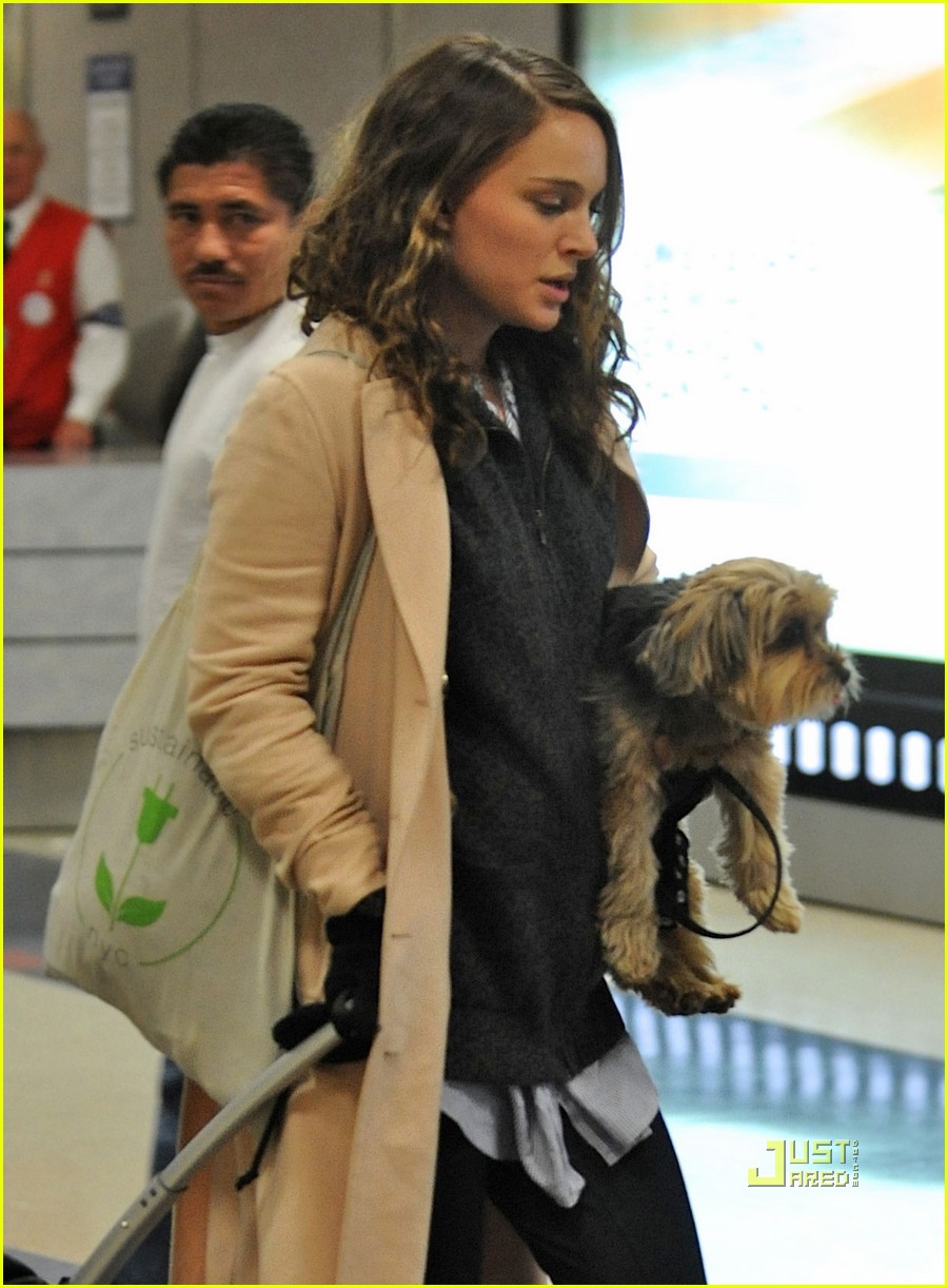 Natalie Portman: Airport Baby Bump!