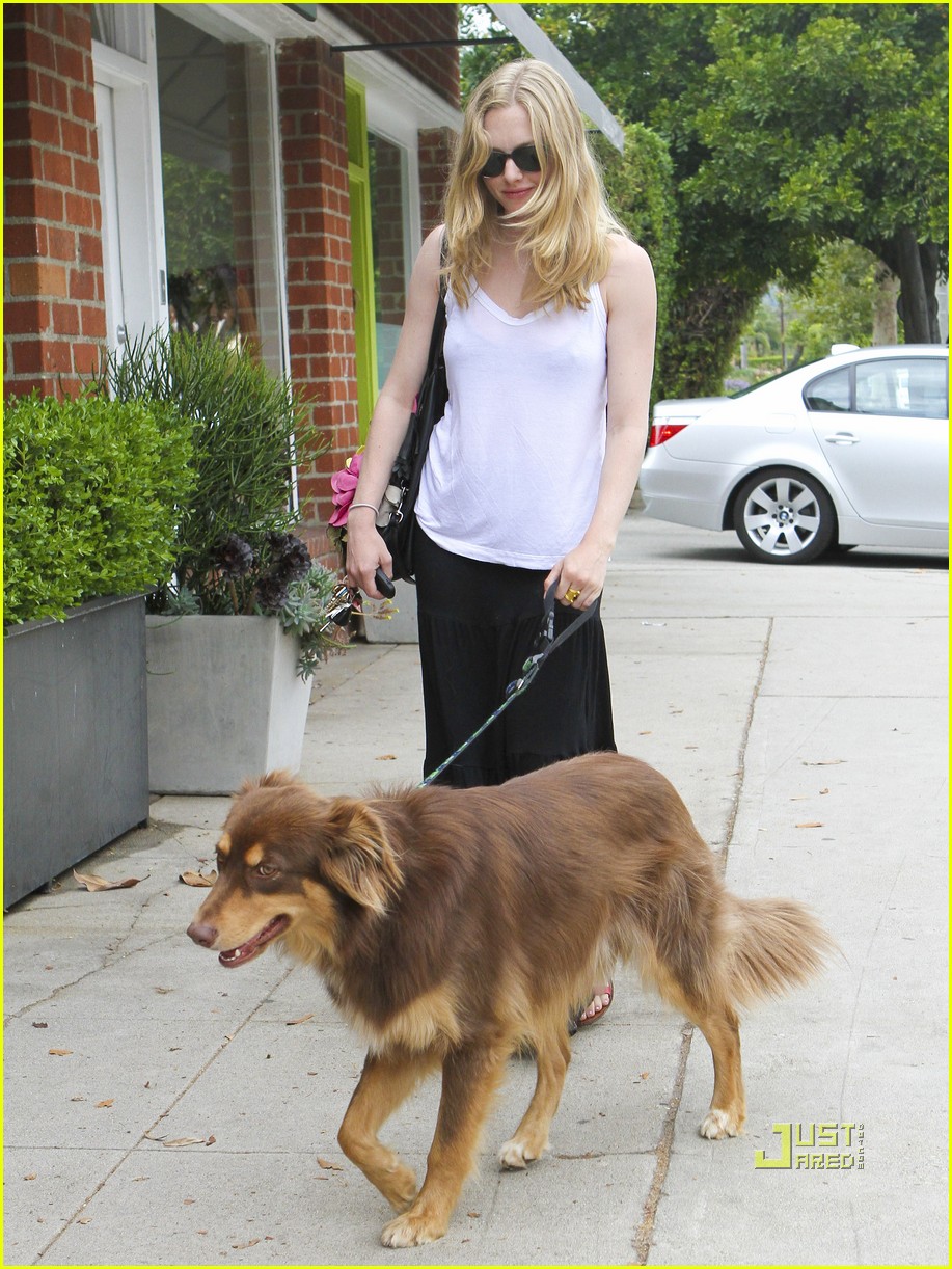 Amanda Seyfried: Sheer Stroll with Finn