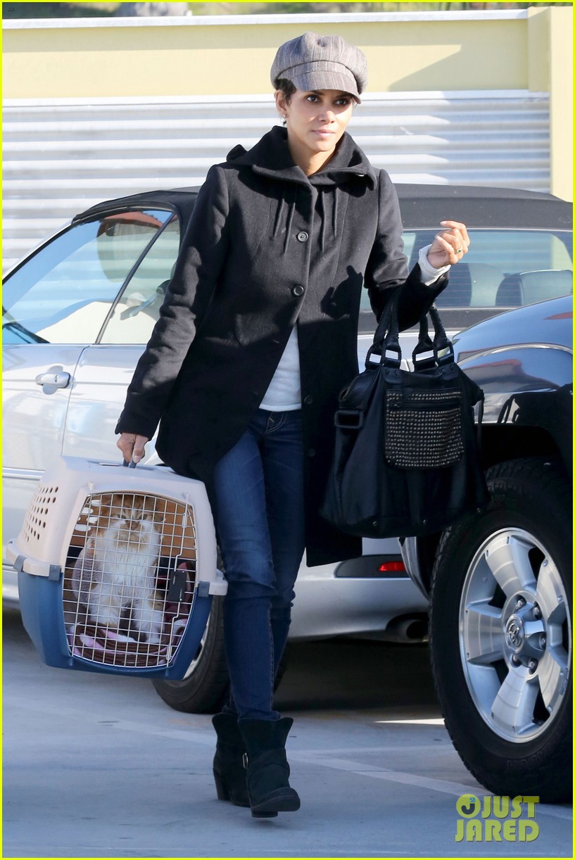 Halle Berry: Back at the Vet with Pet Cat