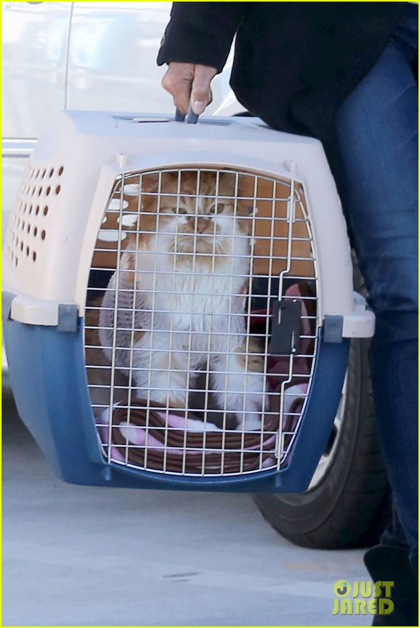 Halle Berry: Back at the Vet with Pet Cat