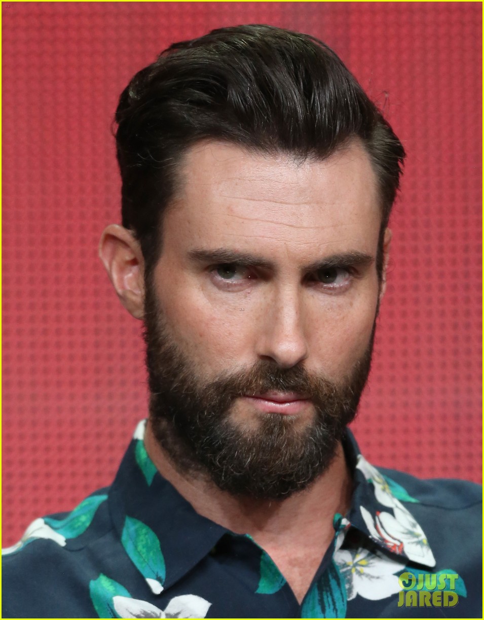 Adam Levine & Cee Lo Green: NBC's Summer TCA Tour Event!