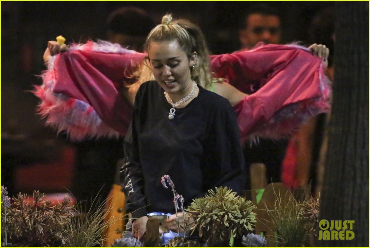Miley Cyrus Posts More Topless Photos on Instagram