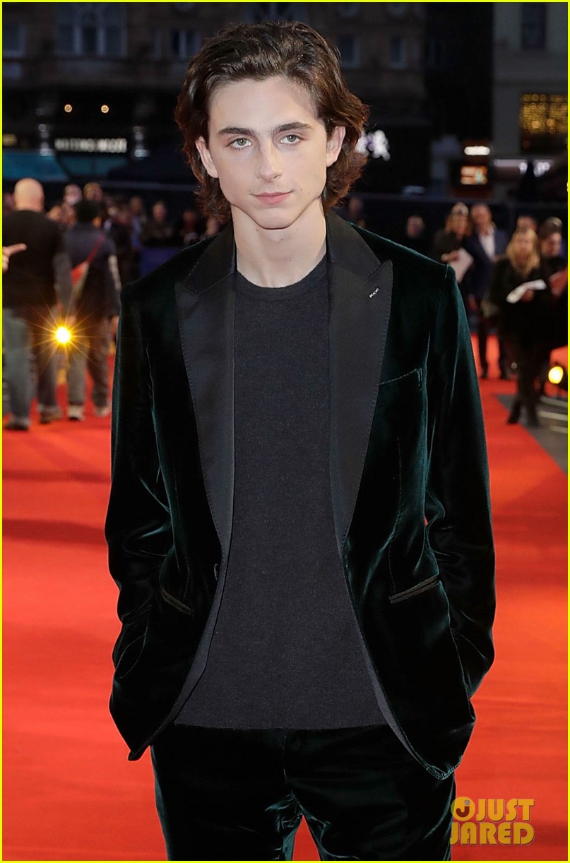 Timothee Chalamet & Armie Hammer Premiere 'Call Me By Your Name' in London!
