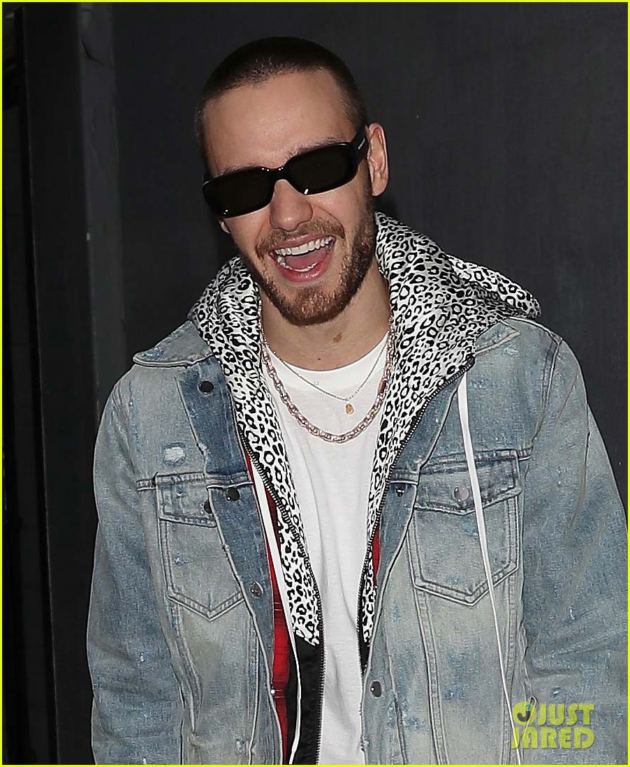 Liam Payne Shares Super Hot Shirtless Photo from Bed!