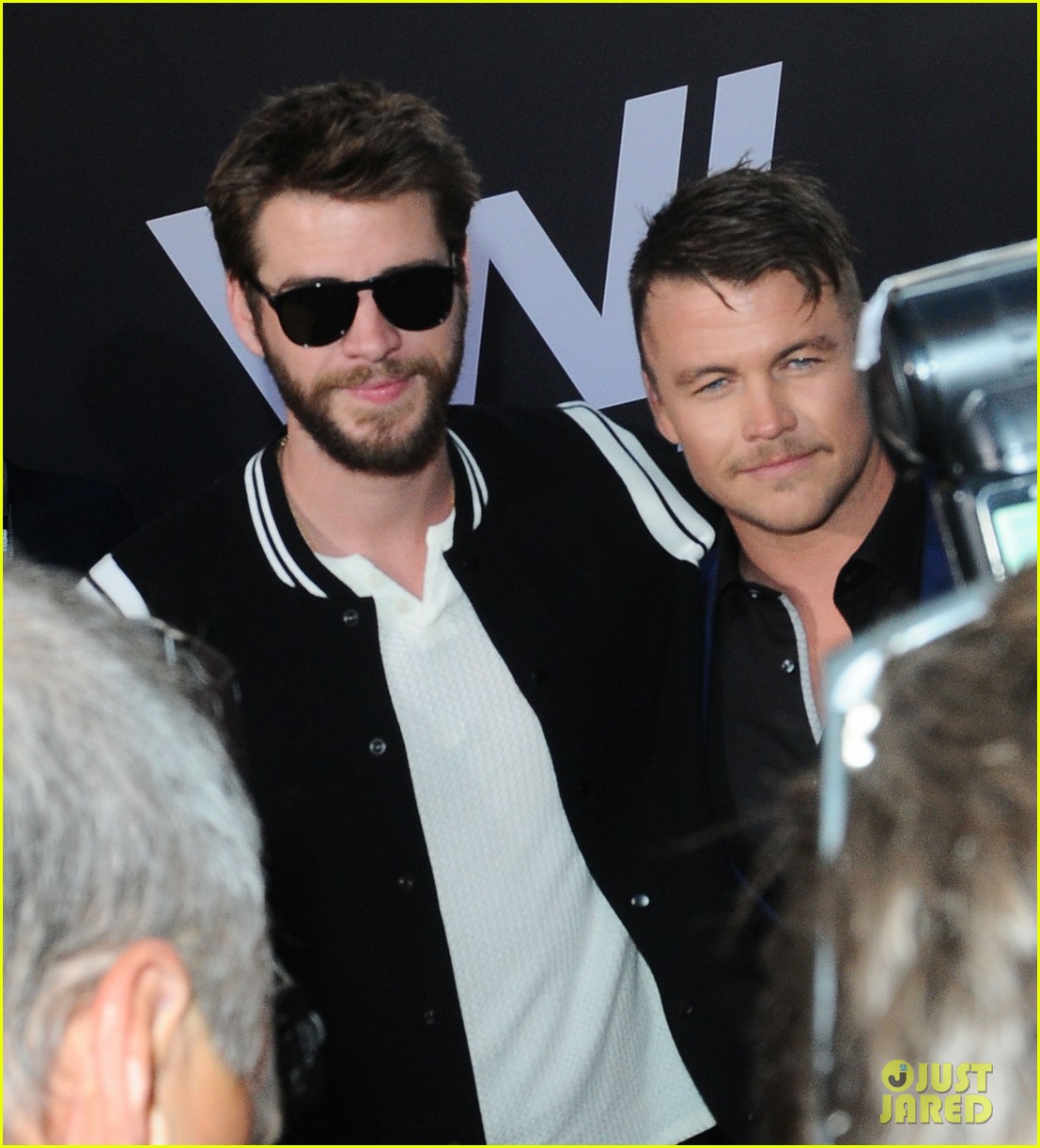 Luke & Liam Hemsworth Hit the Red Carpet Together at the 'Westworld' Season 2 Premiere!