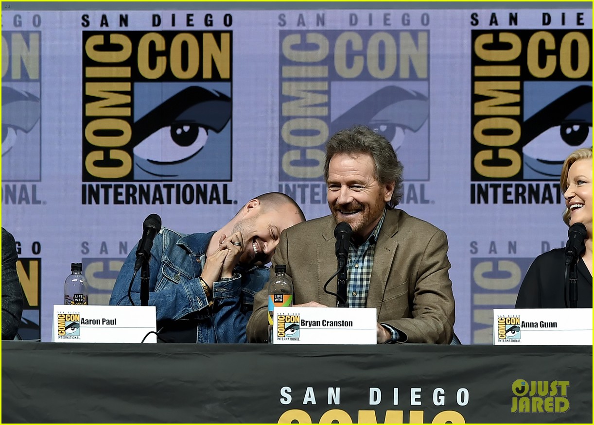 Aaron Paul Dresses Daughter Story in HazMat Suit for 'Breaking Bad' Reunion at Comic-Con!