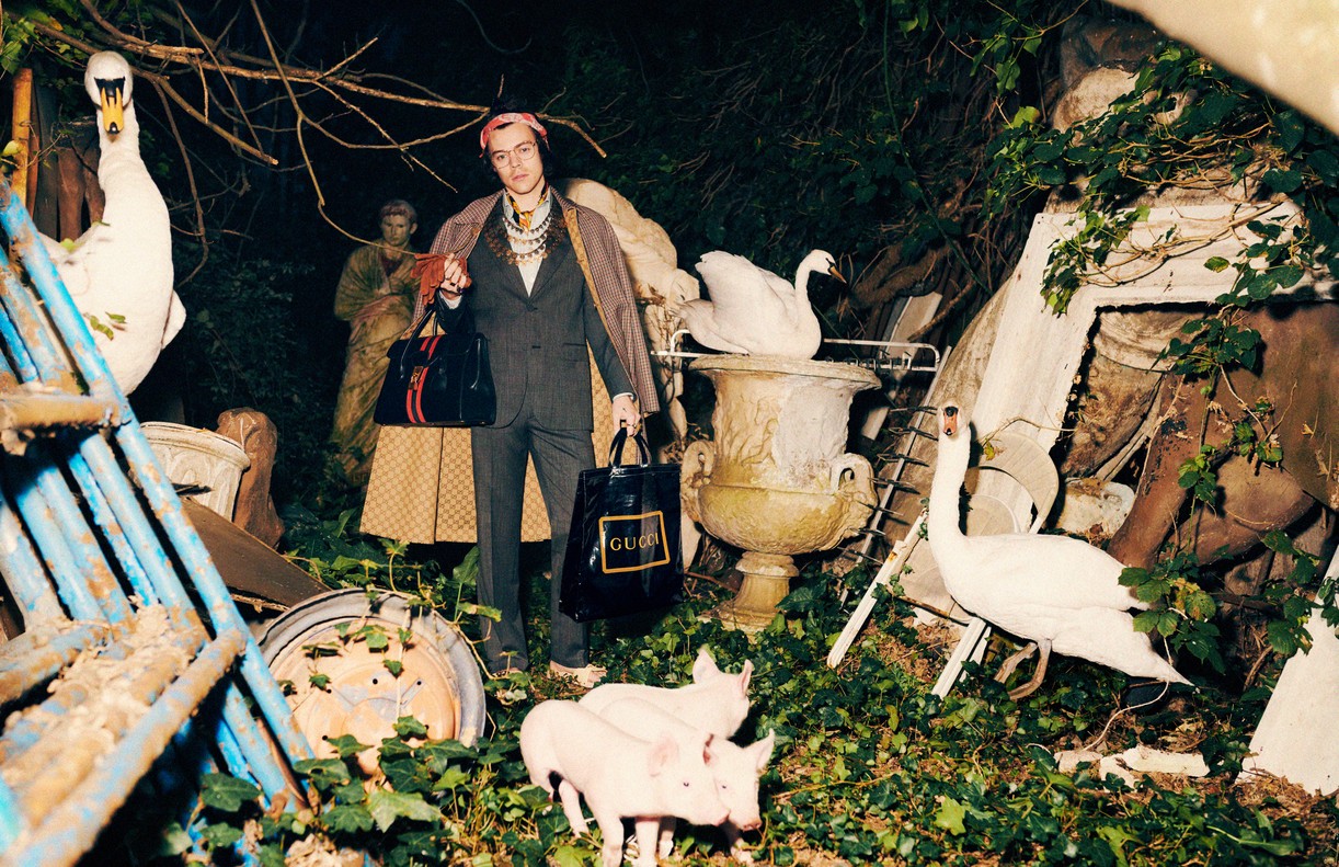 Harry Styles Is Back As The Face of Gucci In Their New Fall Fashion Campaign