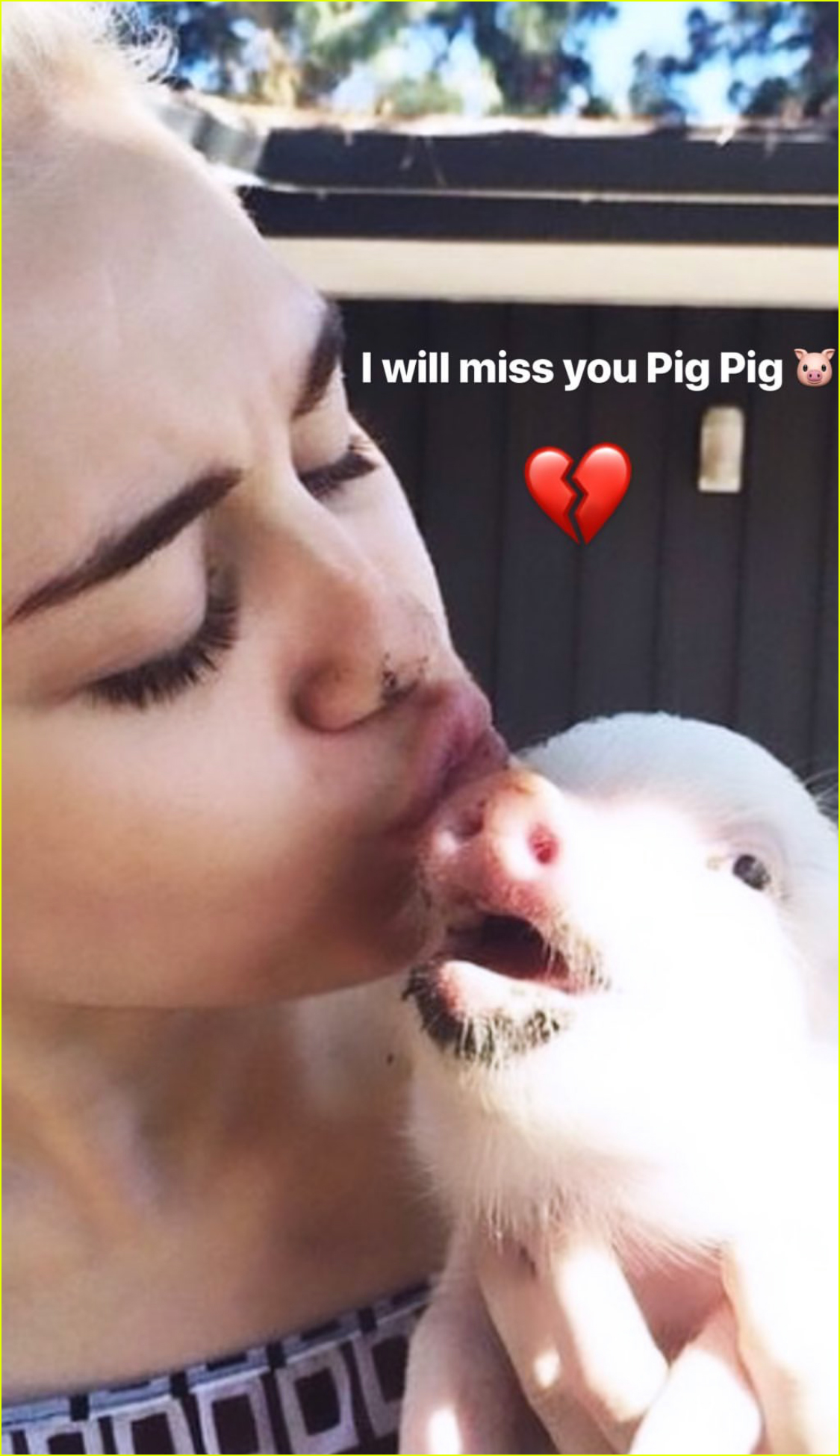 Miley Cyrus Mourns Death of Pet Pig Bubba Sue