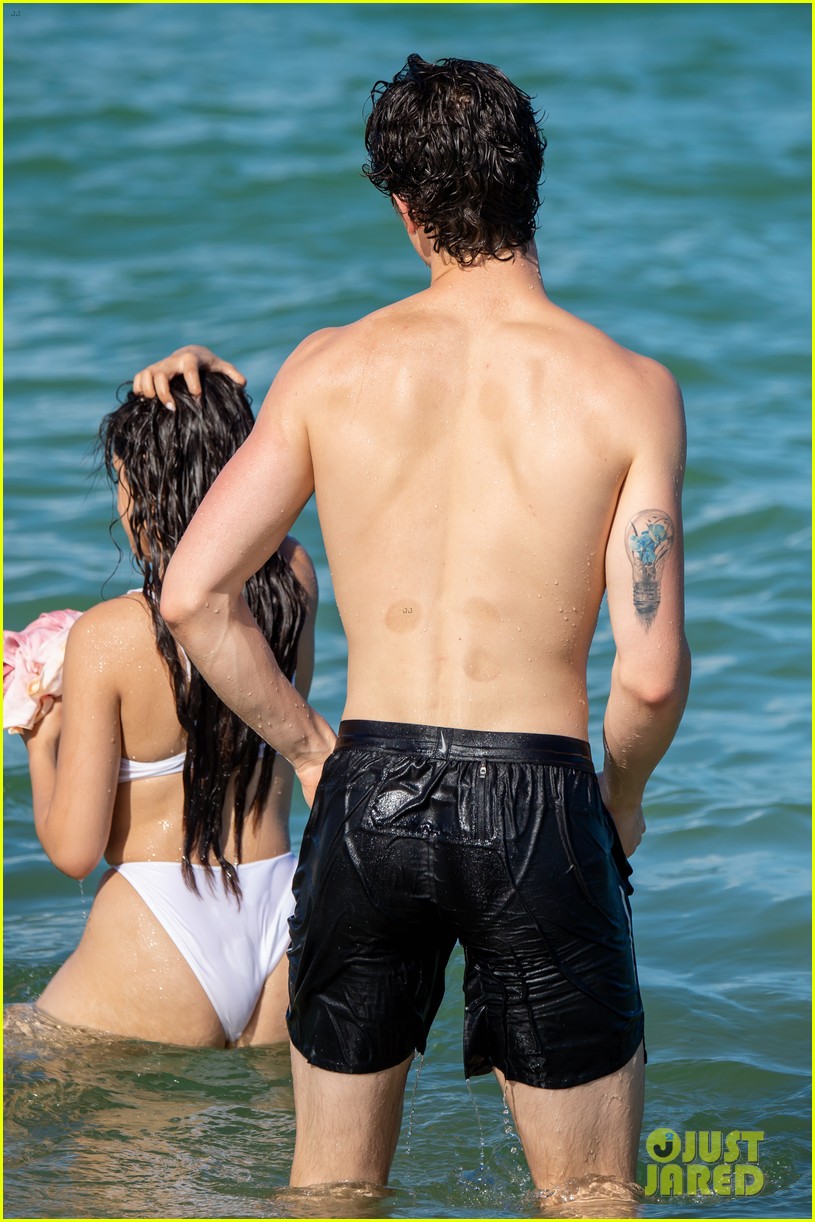 Shawn Mendes & Camila Cabello Kiss at the Beach, Flaunt Hot Bodies in Miami!