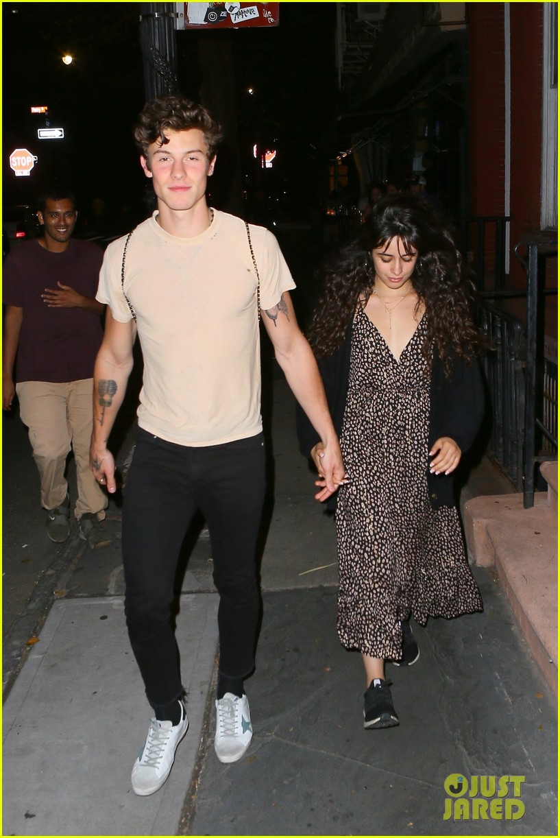 Shawn Mendes & Camila Cabello Have a Date Night Ahead of MTV VMAs 2019!