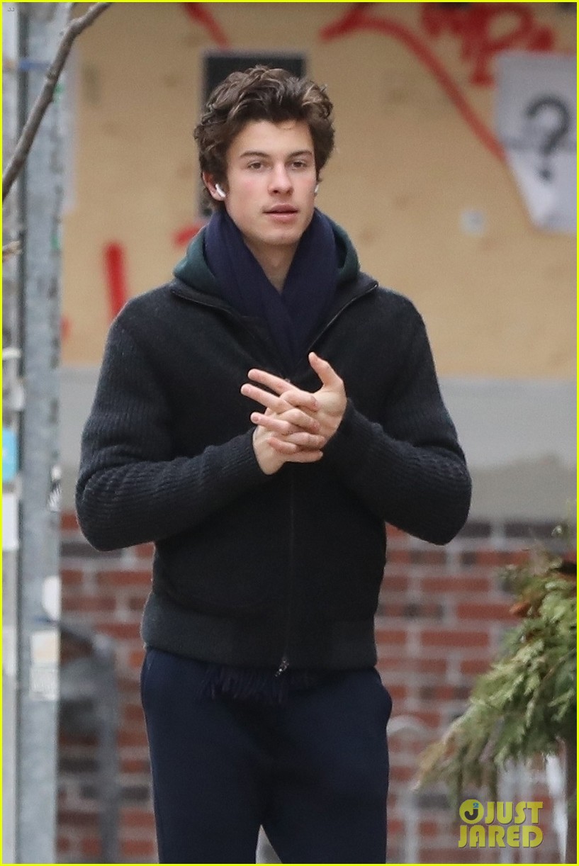 Shawn Mendes Takes a Stroll to a Cafe in Toronto