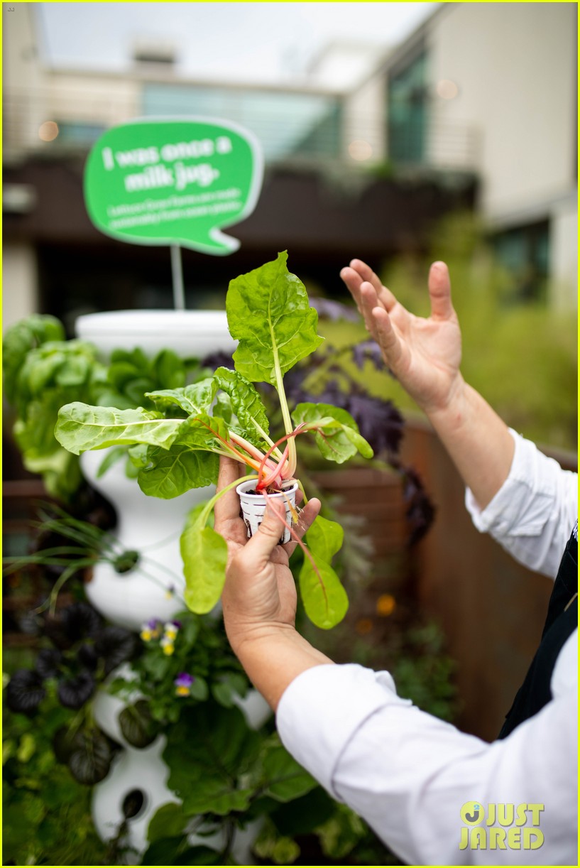 Zooey Deschanel's Portable Garden Makes It So Easy to Grow Your Own Vegetables