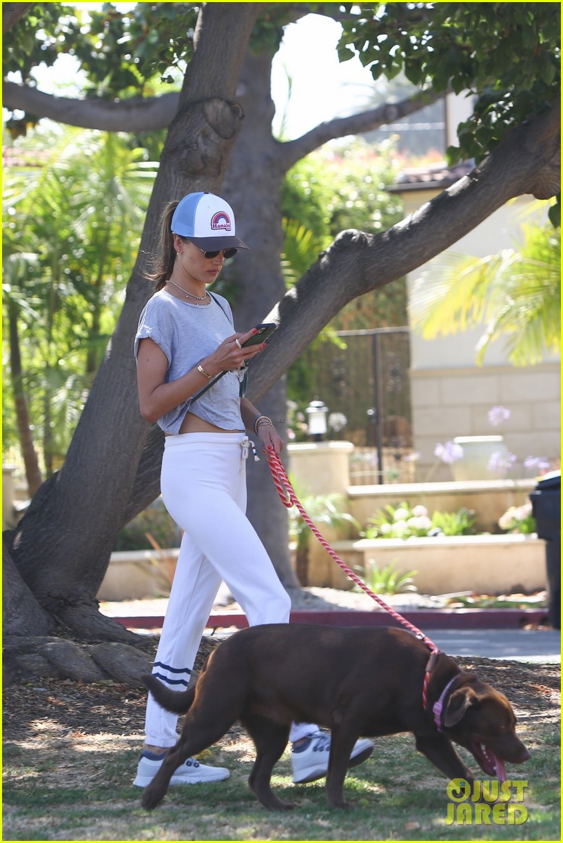 Alessandra Ambrosio Takes a Hike With Her Dog in Santa Monica