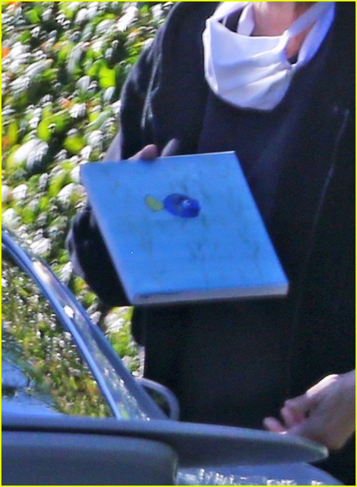 Ellen DeGeneres Purchases Dory Painting While Out Shopping!