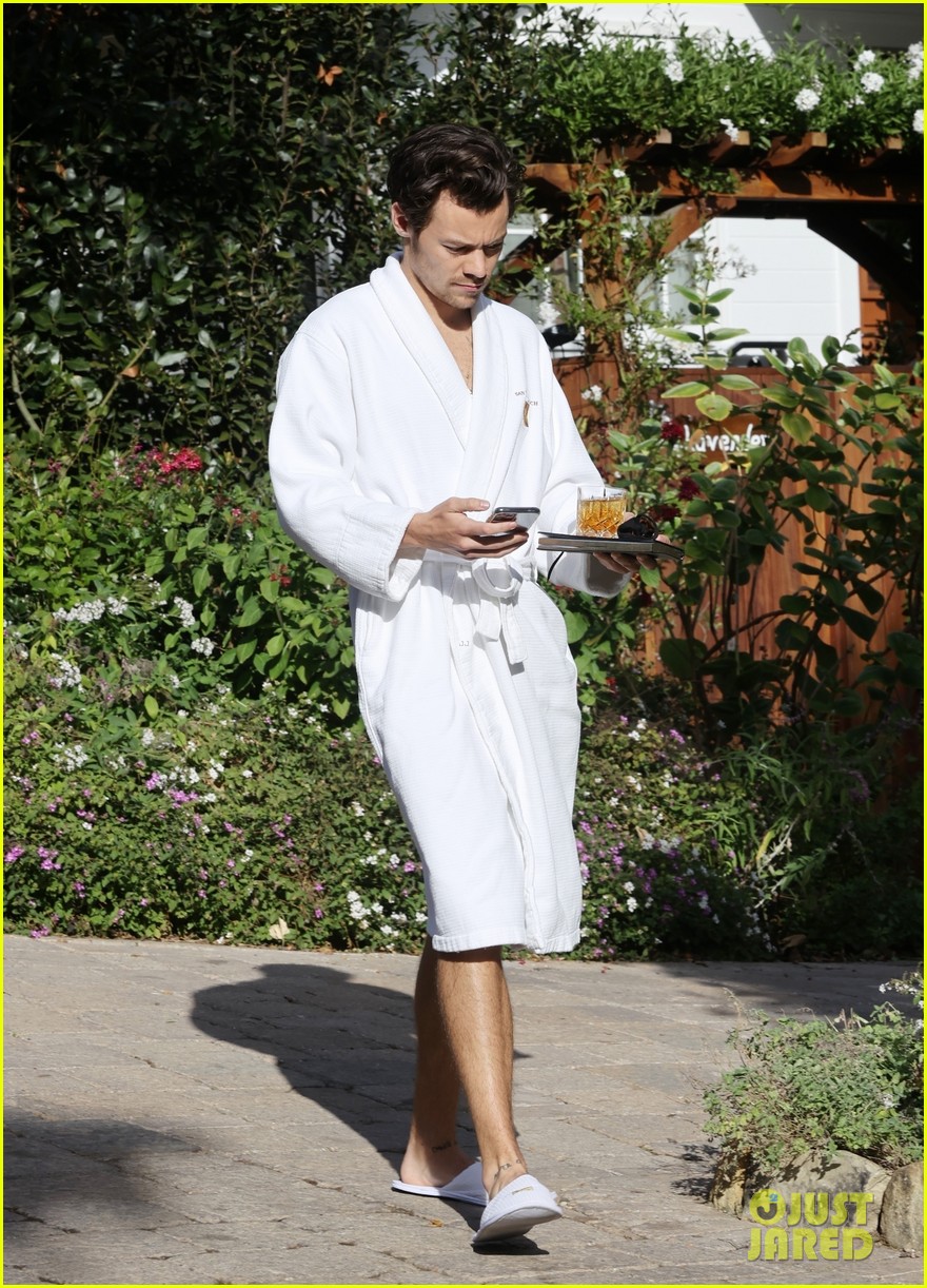 harry styles purple dressing gown During his recent radio interviews, Harry wore a #TeklaFabrics hooded bathrobe in lavender ($180). https://t.co/WjRtoLEByH