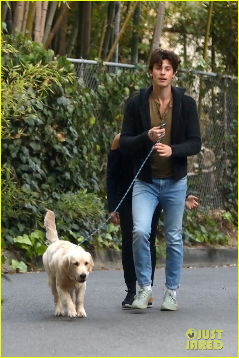 Shawn Mendes & Camila Cabello Share a Kiss While Walking Their Dog Tarzan