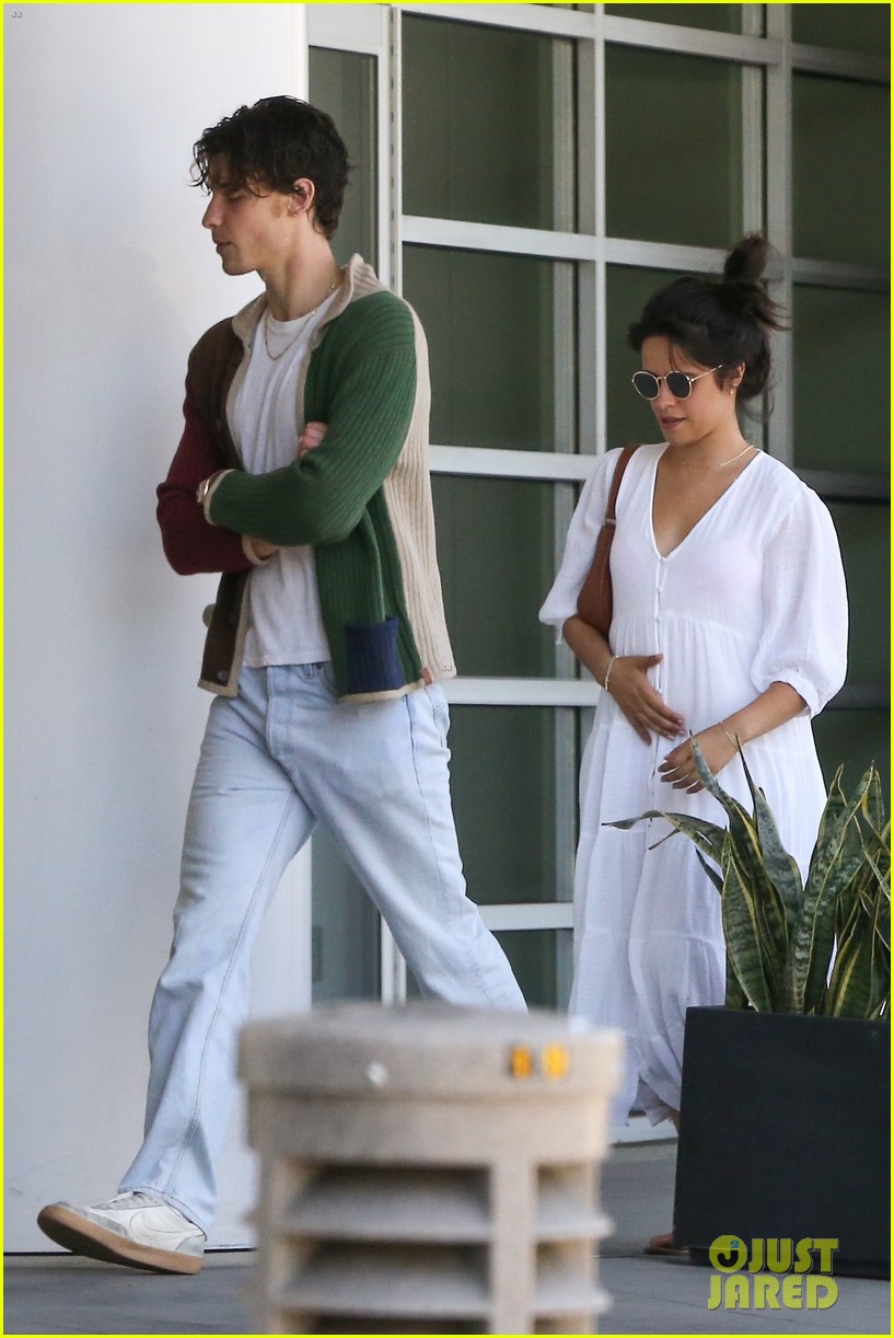Camila Cabello & Shawn Mendes Pick Up Dinner-to-Go in West Hollywood