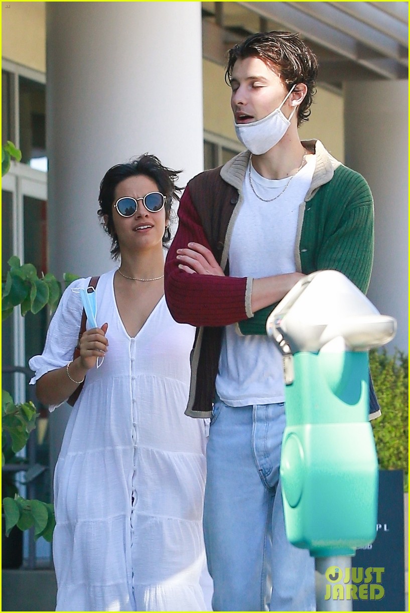 Camila Cabello & Shawn Mendes Pick Up Dinner-to-Go in West Hollywood