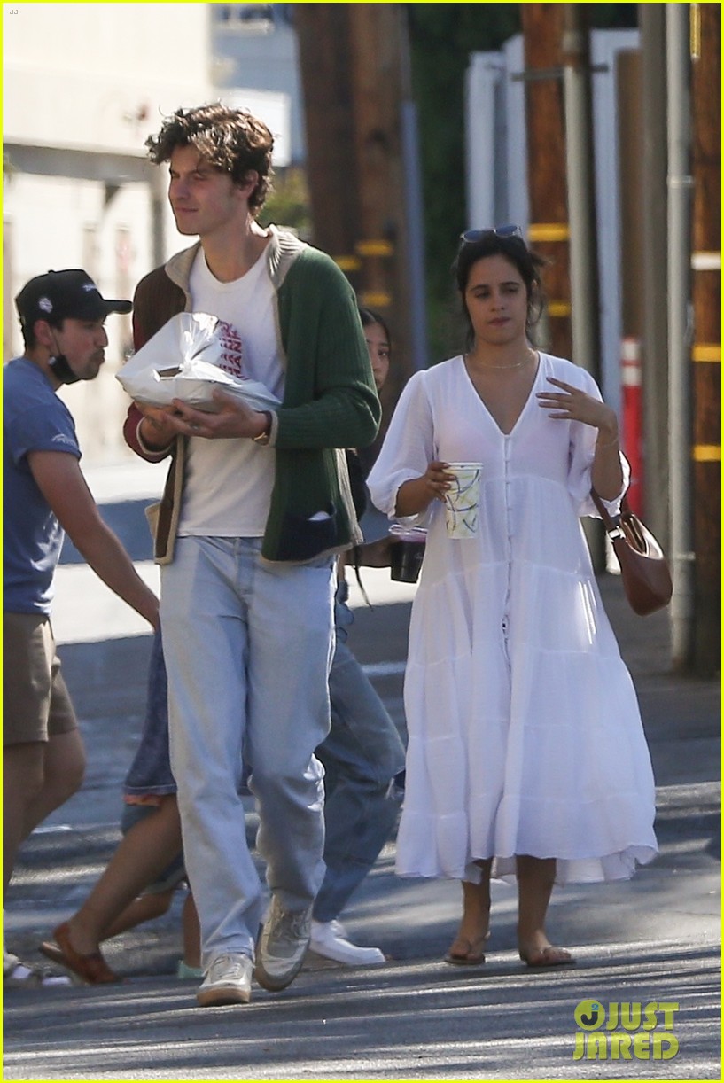 Camila Cabello & Shawn Mendes Pick Up Dinner-to-Go in West Hollywood