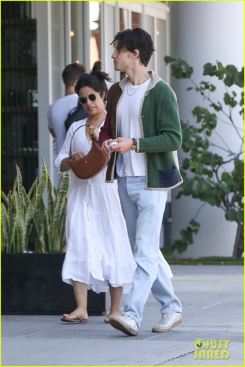 Camila Cabello & Shawn Mendes Pick Up Dinner-to-Go in West Hollywood