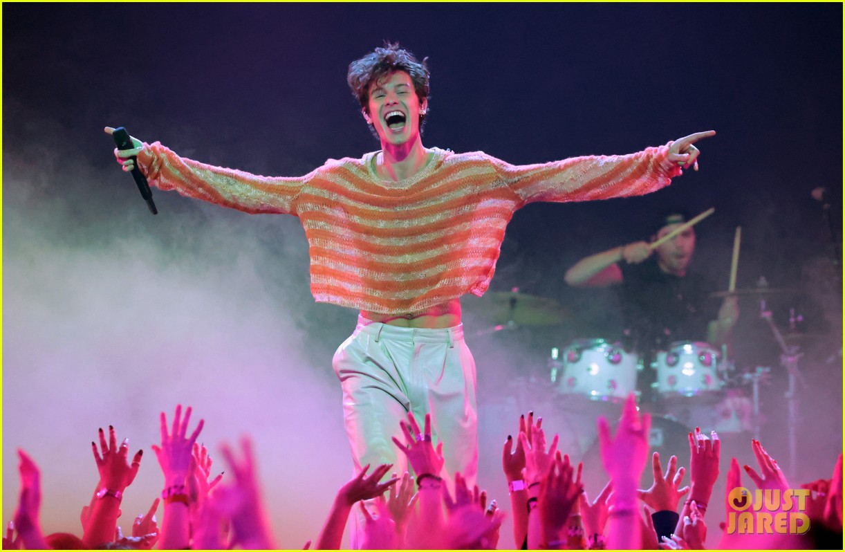 Shawn Mendes Speaks Out Against Florida's 'Don't Say Gay' Bill