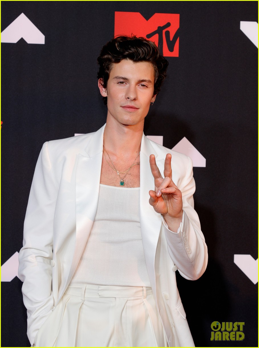 Shawn Mendes Reassures Fans After Admitting He Feels 'Overwhelmed & Overstimulated' in Emotional Note