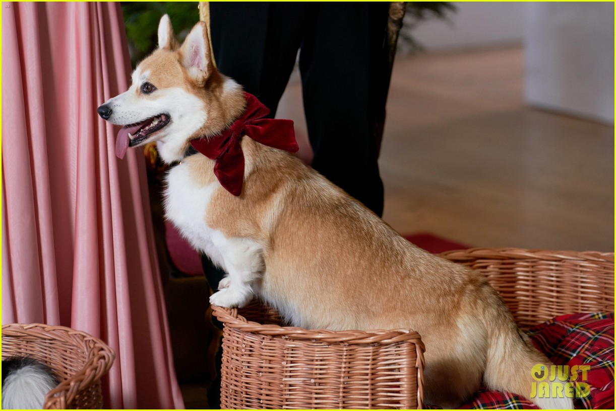 Hunter King Says She Cried Happy Tears While Working On Hallmark's 'A Royal Corgi Christmas' - Here's Why (Exclusive)