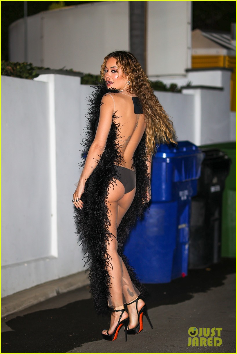 Rita Ora Rocks a Totally Sheer, Backless Dress & Black Feathers - Just  Jared - Celebrity News and Gossip | Entertainment