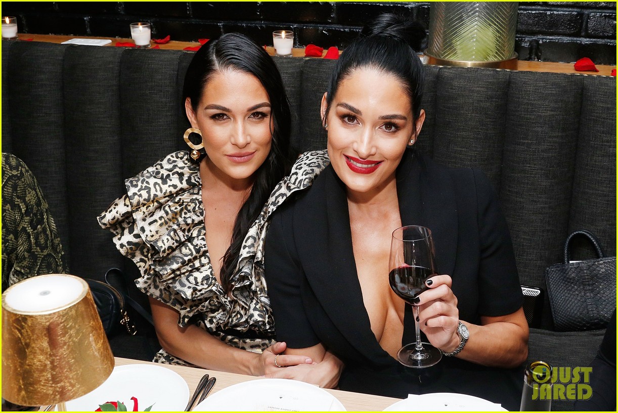 Nikki & Brie Bella Are Changing Their Names & Leaving WWE as Part of 'New Chapter'
