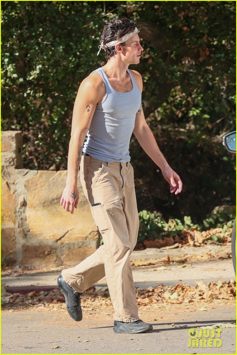 Shawn Mendes Shows Off His Muscles on Solo Hike in Santa Monica