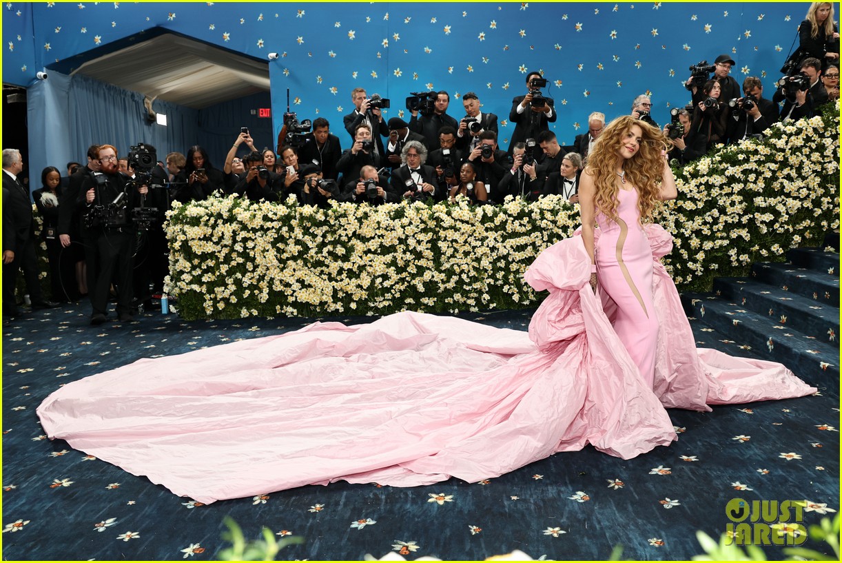 pink shakira same dress Shakira and Pink wearing the same dress at the MTV VMAs in 2009