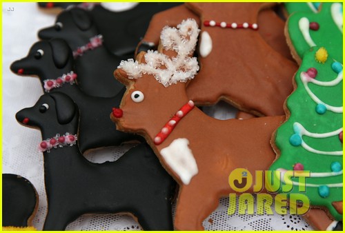 Most Popular Christmas Cookies 2025: The Top Holiday Cookie in Every U.S. State